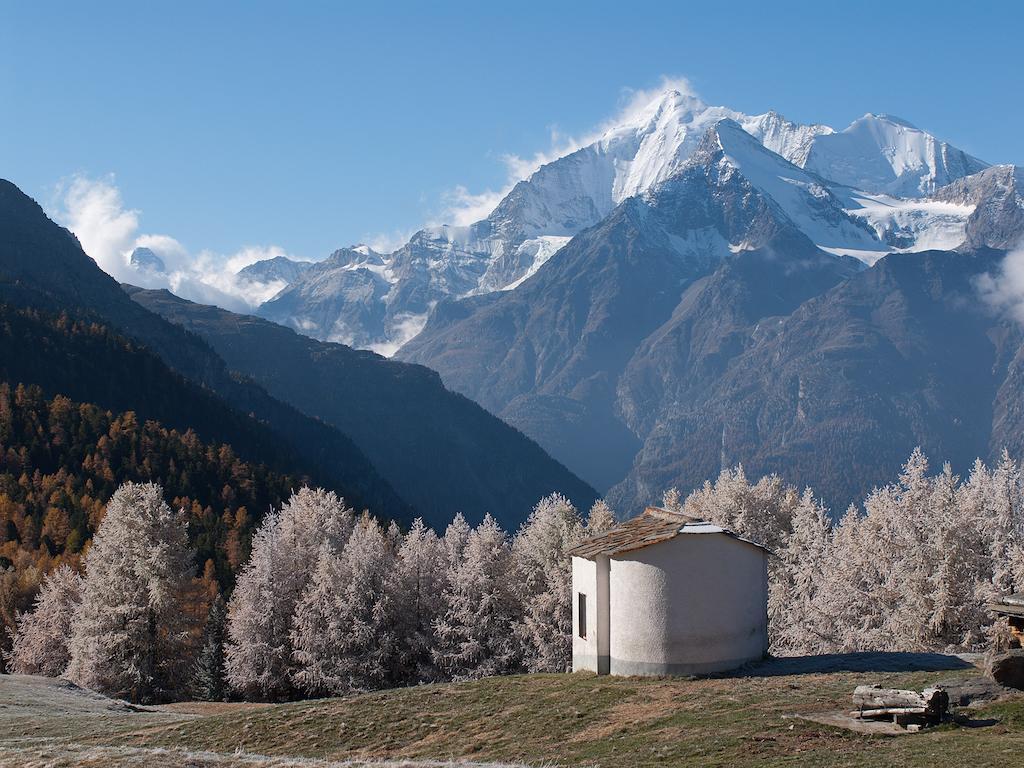 Chalet Soldanella Apartamento Grächen Exterior foto